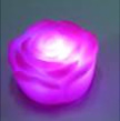 GAFSROSE